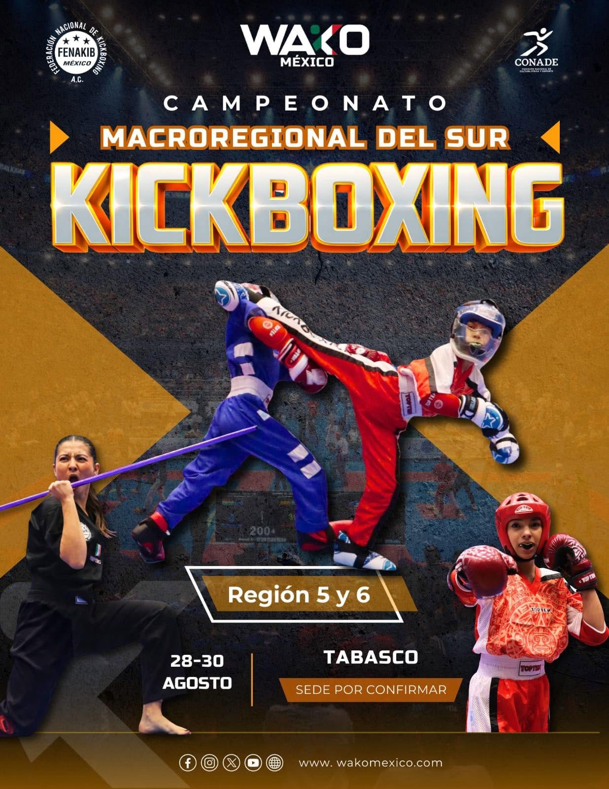 REGIONAL SUR
